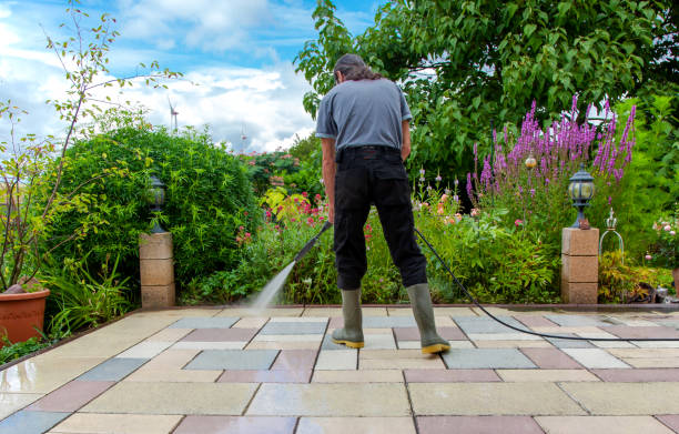 Best Sidewalk and Walkway Cleaning  in Valley City, ND